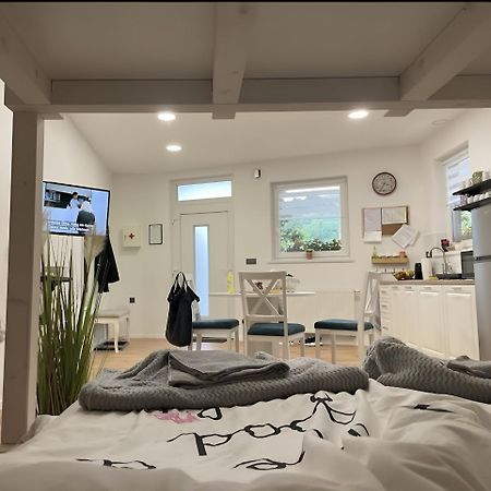 Apartman Mr Guest Krapina Exteriör bild