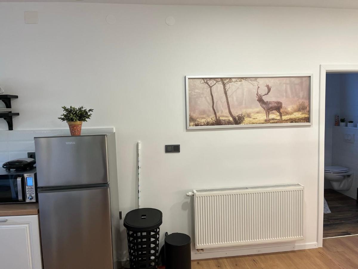 Apartman Mr Guest Krapina Exteriör bild