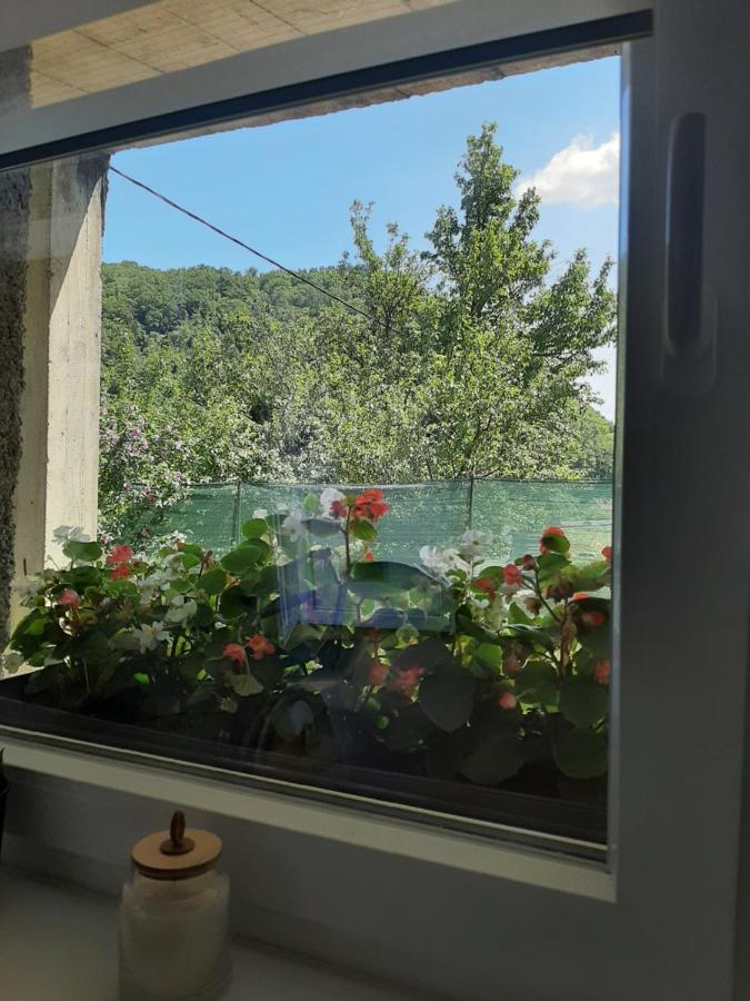 Apartman Mr Guest Krapina Exteriör bild